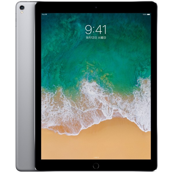 Apple iPad pro スペースグレー 本体 11インチiPad Pro Wi-Fi + Cellular 256GB - スペースグレイ（第