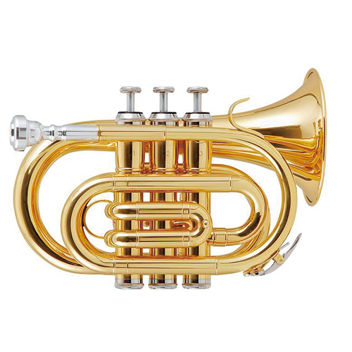  pocket * trumpet introduction set 