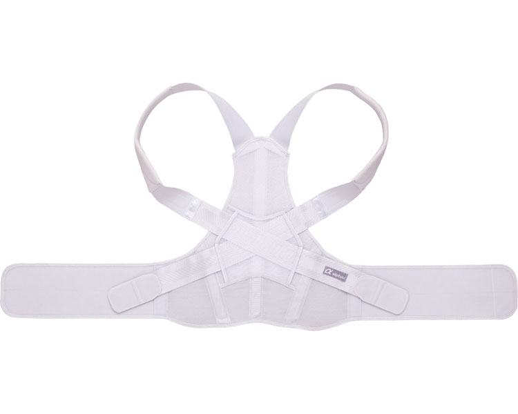 アルファックス お医者さんのがっちり背すじベルト M～Lサイズの商品画像