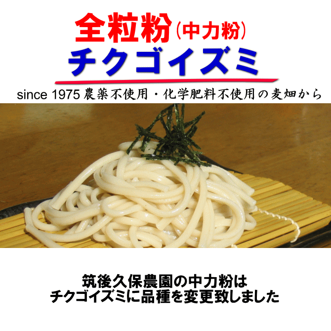  whole wheat flour chikgoizmi20Kg | less pesticide middle power flour Fukuoka prefecture production . after . guarantee agriculture .