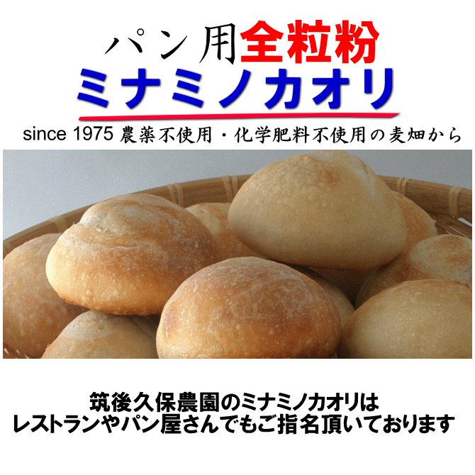  whole wheat flour mi Nami nokaoli20Kg | less pesticide middle powerful flour Fukuoka prefecture production . after . guarantee agriculture .