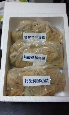  Sasaki солености tsukemono магазин китайская капуста. .... примерно 400g×3 пакет ввод 