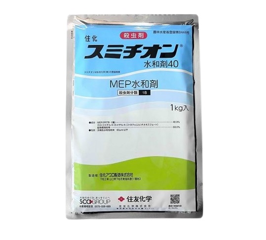 1kg