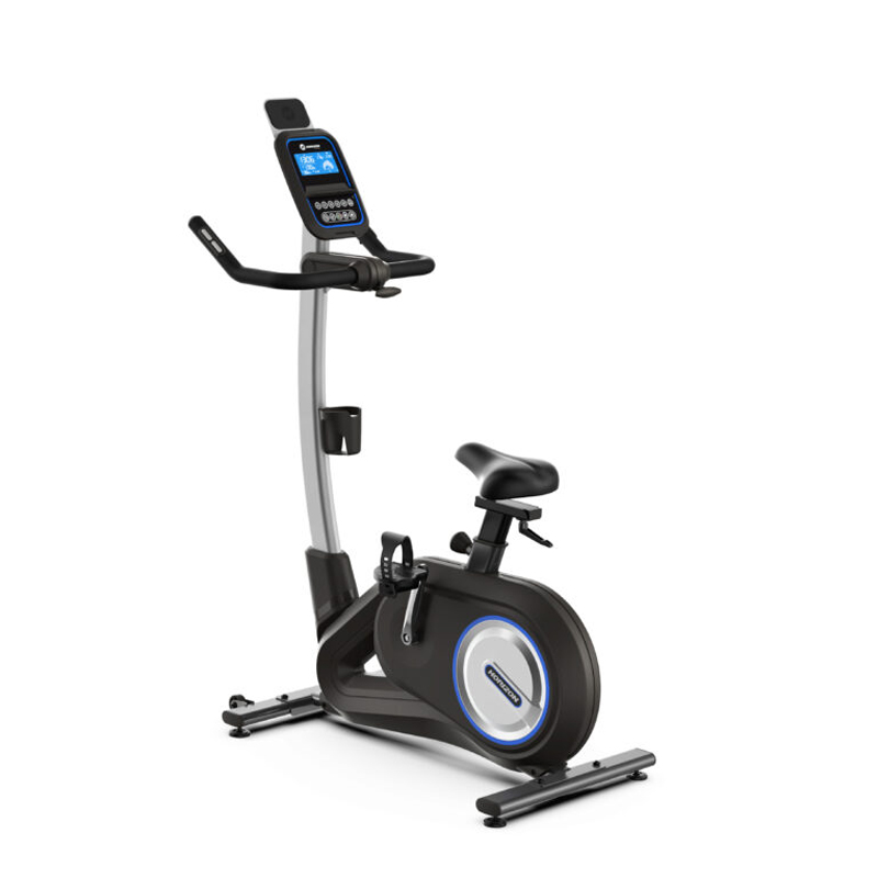 ALINCO ALINCO エアロマグネティックミニバイク AFB2123K（ブラック