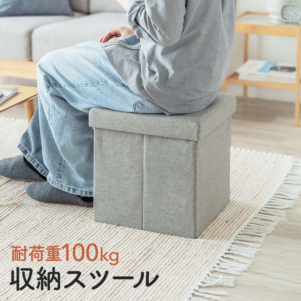 サンワサプライ 収納スツール W380×D380×H380mm EZ15-SNCBOX6 （ダーク