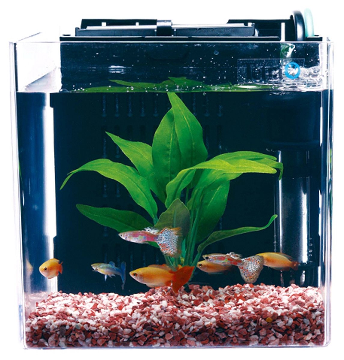 スペクトラム ブランズ ジャパン テトラジャパン テトラ スマートアクアリウム 熱帯魚飼育セット Sp 17tf プラスチック水槽 最安値 価格比較 Yahoo ショッピング 口コミ 評判からも探せる