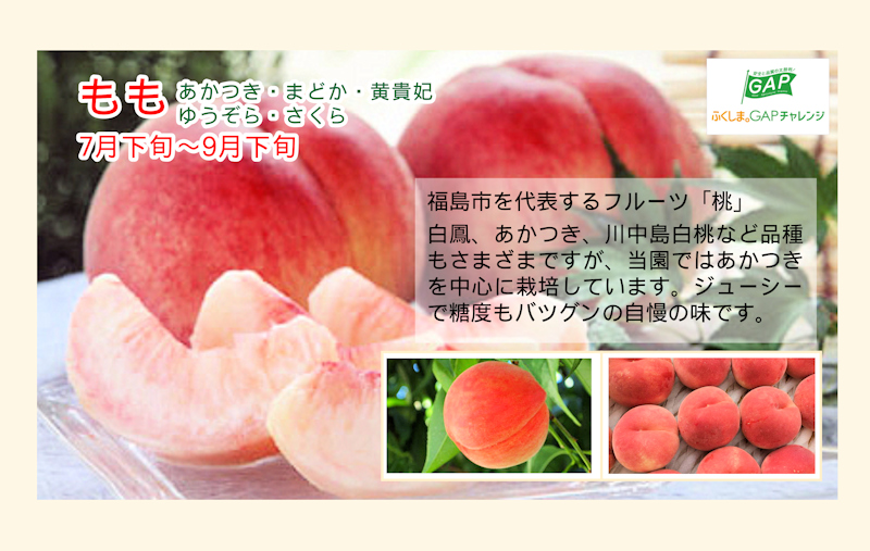  Fukushima prefecture . slope block Konno sightseeing fruit tree .. on .. Fukushima. .. peach 2kg(6 piece ~7 piece ) exclusive use in box 30 piece limited sale free shipping [ fruit .. goods gift present ] [ year-end gift ]