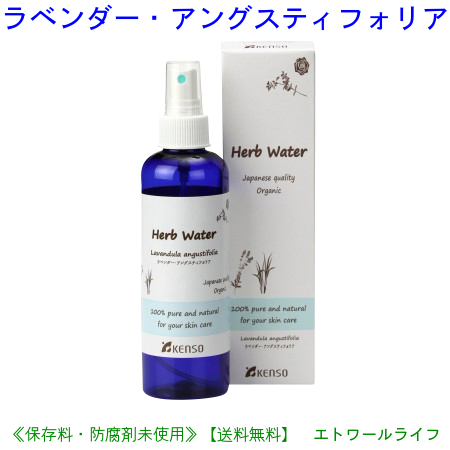 ラベンダー