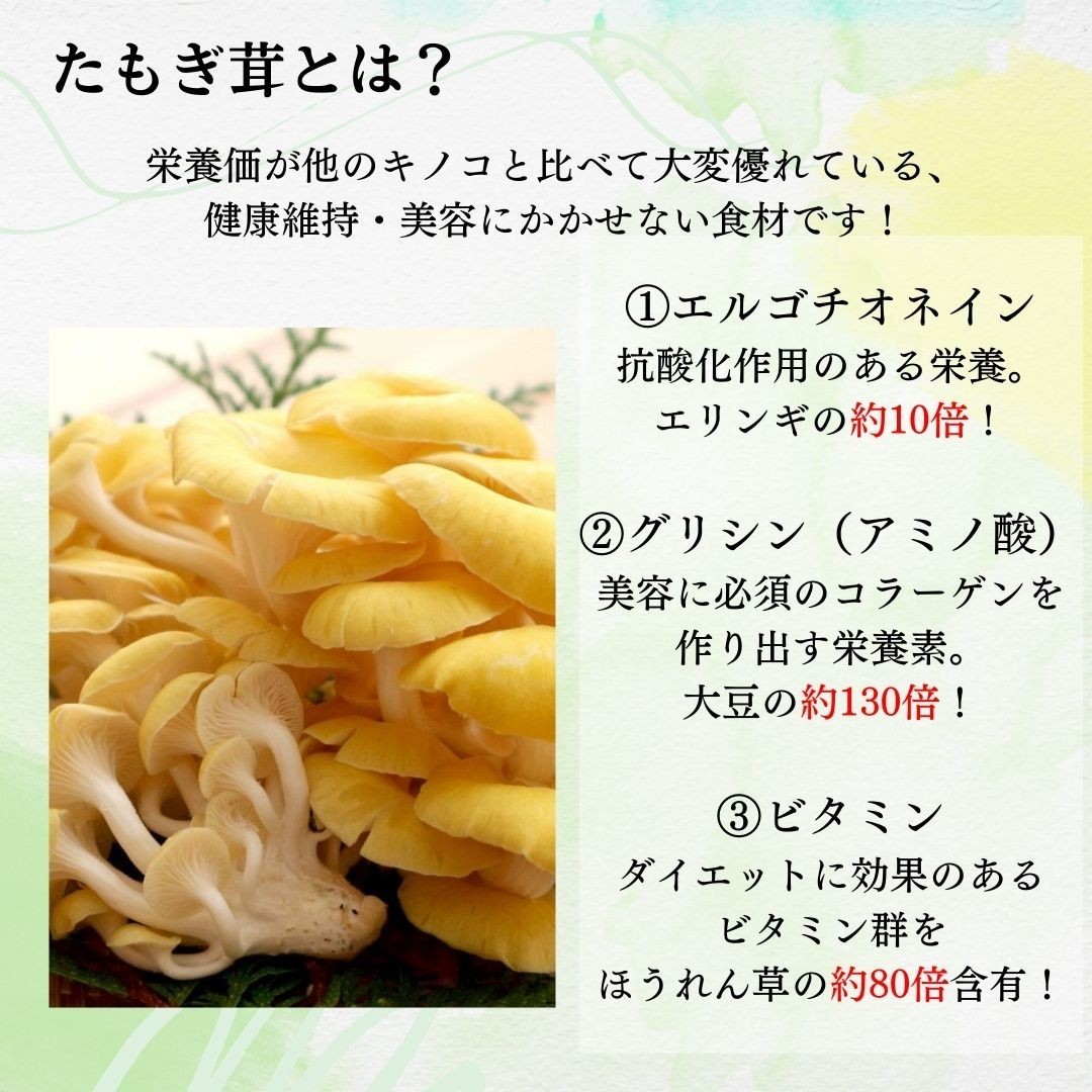  Hokkaido производство .... вода .100g×2 пакет бесплатная доставка долгое время сохранение обычная температура вода ... ... . вода . вода . овощи овощи . данный земля ....... сачок gitake.....