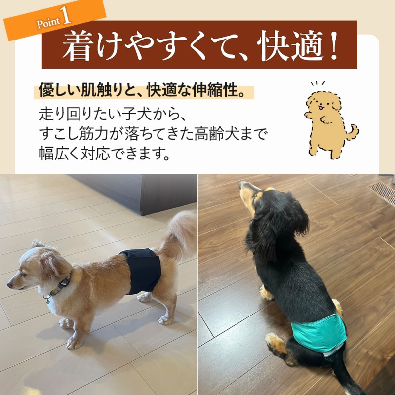  pet diapers manner belt 4 size ...... laundry pet small size dog medium sized dog large dog . dog height . upbringing nursing manner pants ....do Grand g wear 