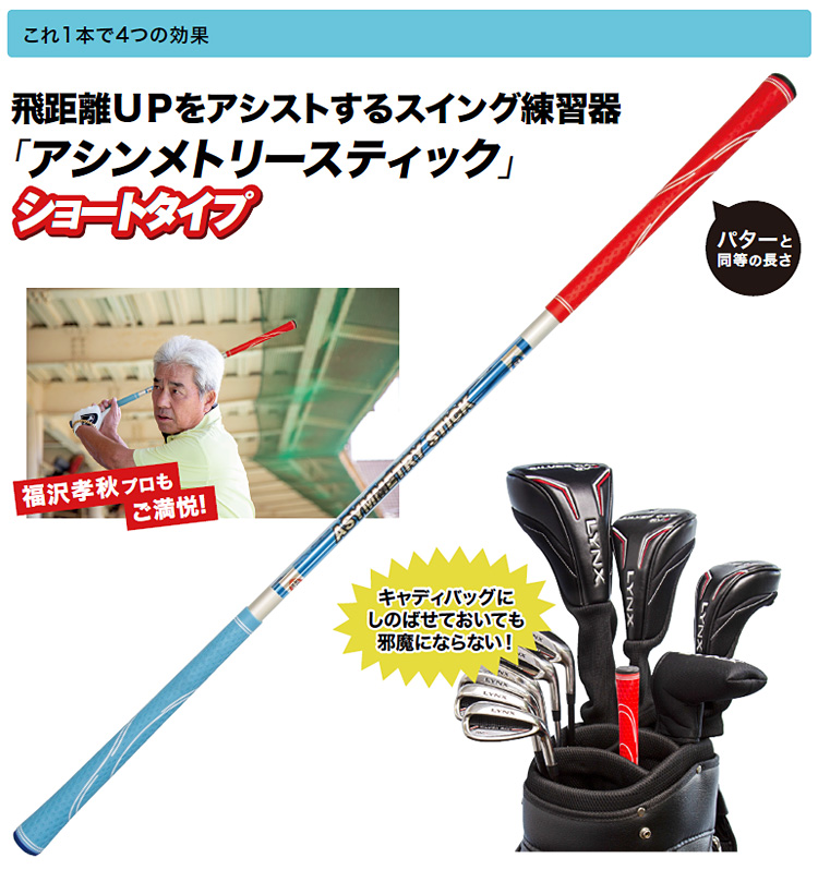 Lynx links regular goods TEACHING PRO( tea chin g Pro )asimeto Lee stick Short 34 [ Golf swing practice supplies ]