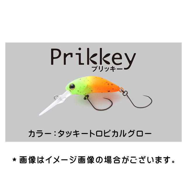 プリッキー タッキートロピカルグロー