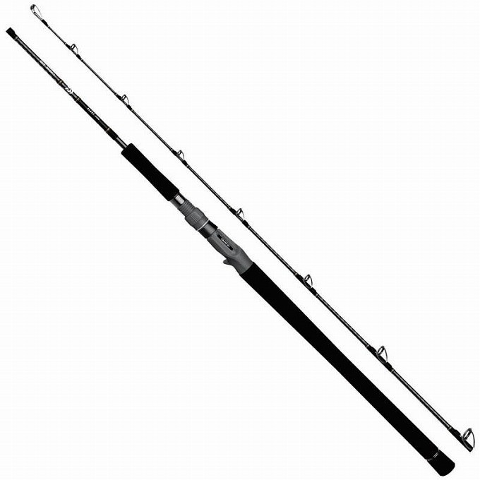 DAIWA（釣り） ブラスト J62MS・V 釣り ジギングロッド - 最安値・価格