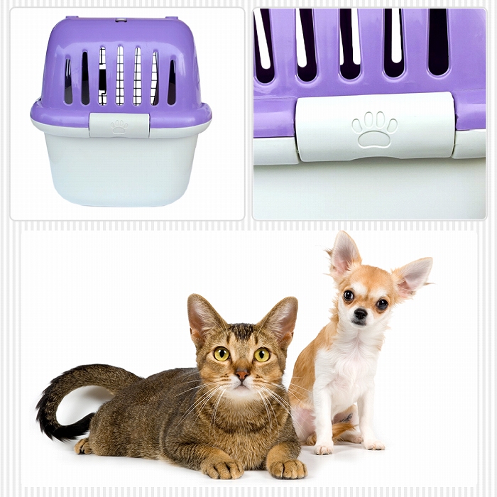  construction shipping fantasy Carry M OPEN purple small size dog, cat for pets Carry case hard type withstand load 10kg till 