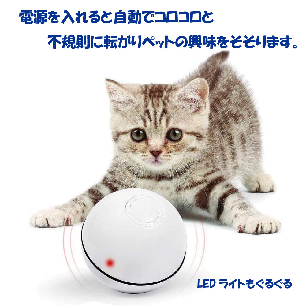  кошка игрушка собака игрушка кошка мяч кошка .... электрический LED светится мяч автоматика вращение USB -тактный отсутствует аннулирование движение нехватка предотвращение заряжающийся обычный модель 