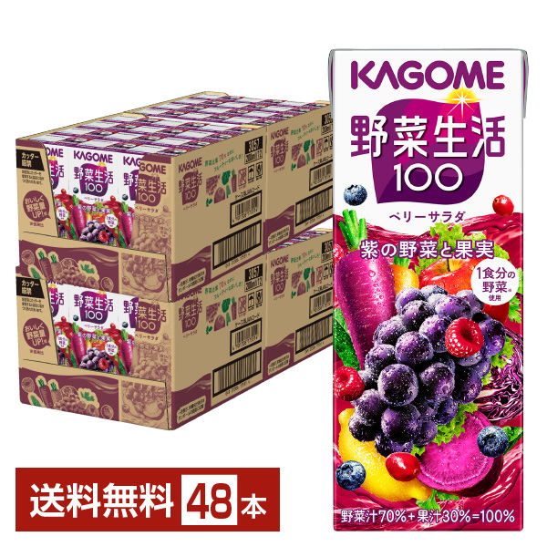 KAGOME 野菜生活100 ベリーサラダ 200ml×48本 紙パック 野菜生活100 野菜ジュースの商品画像
