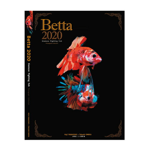 Ｂｅｔｔａ　２０２０　Ｓｉａｍｅｓｅ　Ｆｉｇｈｔｉｎｇ　ｆｉｓｈ　Ｐｈｏｔｏｇｒａｐｈ　Ｃｏｌｌｅｃｔｉｏｎ 山崎浩二／〔著〕　大美賀隆／〔著〕の商品画像