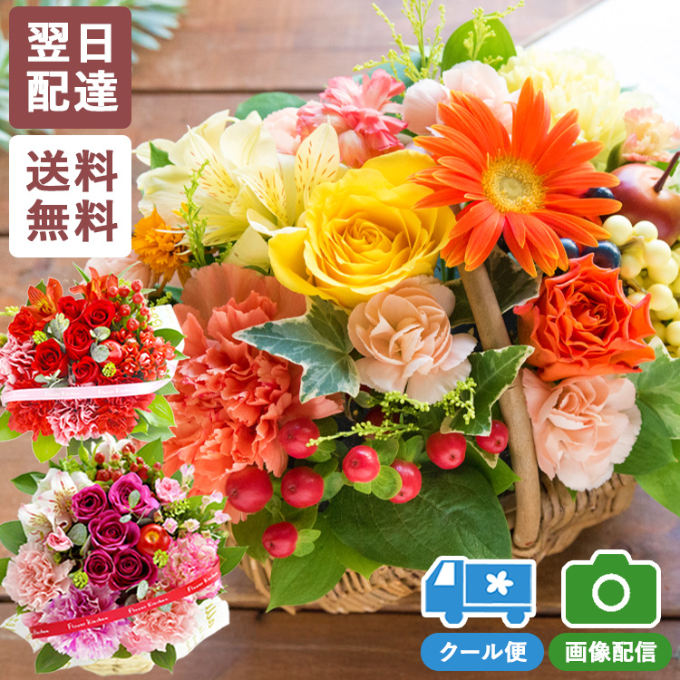  flower flower arrange birthday flower rose. arrangement . flower gift present natural flower arrangement opening festival . marriage memory day woman next day delivery spring FKAA