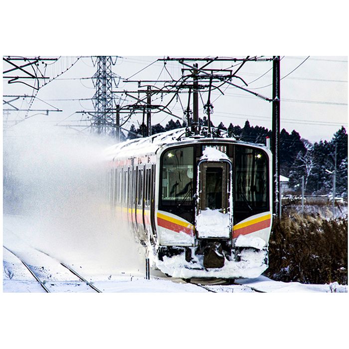 カトー カトー E129系 100番台（霜取りパンタ搭載車） 10-1737 模型