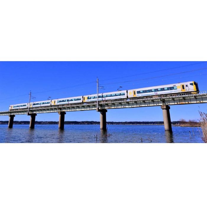 マイクロエース JR東日本 e257系500番台 さざなみ・わかしお 5両 61HPdjoprlL._AC_UF894,