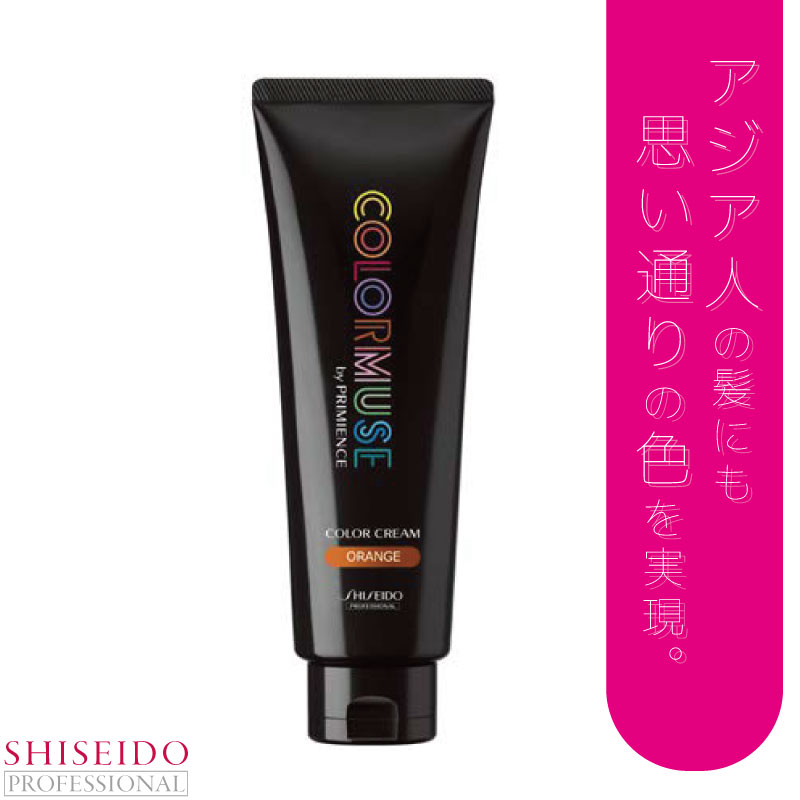 SHISEIDO PROFESSIONAL カラーミューズ カラークリーム ブルー 240g