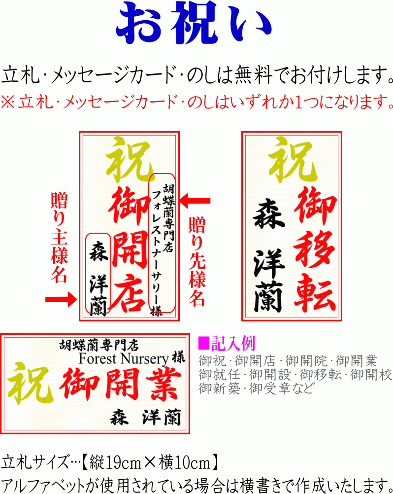 最大72 オフ 胡蝶蘭 お祝い 大輪 白 3本立ち 18 21輪 開店祝い ギフト 移転祝い 開業祝い 誕生日祝い 就任祝い 退職祝い 還暦祝い お供え Aynaelda Com