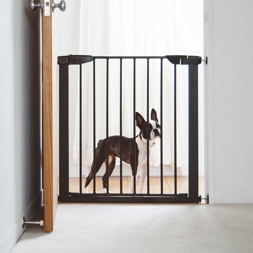  stylish dog gate dog gauge dog gate dog dog entranceway kitchen kitchen stair fence wall ....