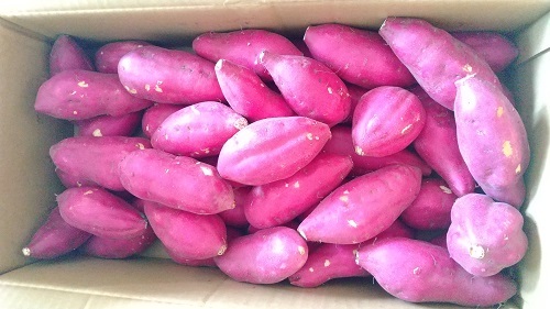  Tokushima prefecture production .. gold hour circle S size 5kg sweet potato .. gold hour 