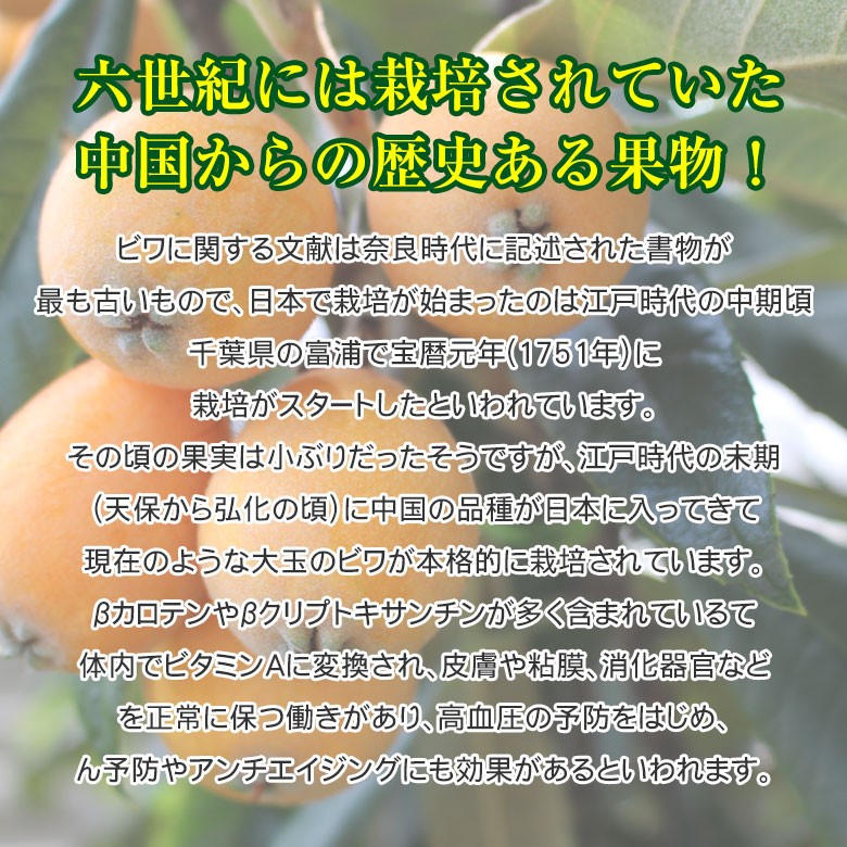  free shipping region carefuly selected loquat biwa..2L size 250g × 4 pack domestic production . home use with translation 