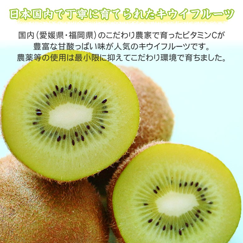 地域厳選 愛媛県 福岡県 キウイ キウイフルーツ キュウイ 20玉 〜 30玉 3kg ご家庭用 国産 国内産 ギフト プレゼント ご家庭用 秀品 :kokusankiwi-2030-3kg:くだもの観覧車 - 通販 - Yahoo!ショッピング 地域厳選 愛媛県 福岡県 キウイ キウイフルーツ キュウイ 20玉 〜 30玉 3kg ご家庭用 国産 国内産 ギフト プレゼント ご家庭用 秀品 :kokusankiwi-2030-3kg:くだもの観覧車 - 通販 - Yahoo!ショッピング