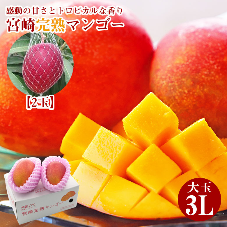 独特の素材独特の素材❣️タイムセール❣️宮崎県産 完熟マンゴー 18玉