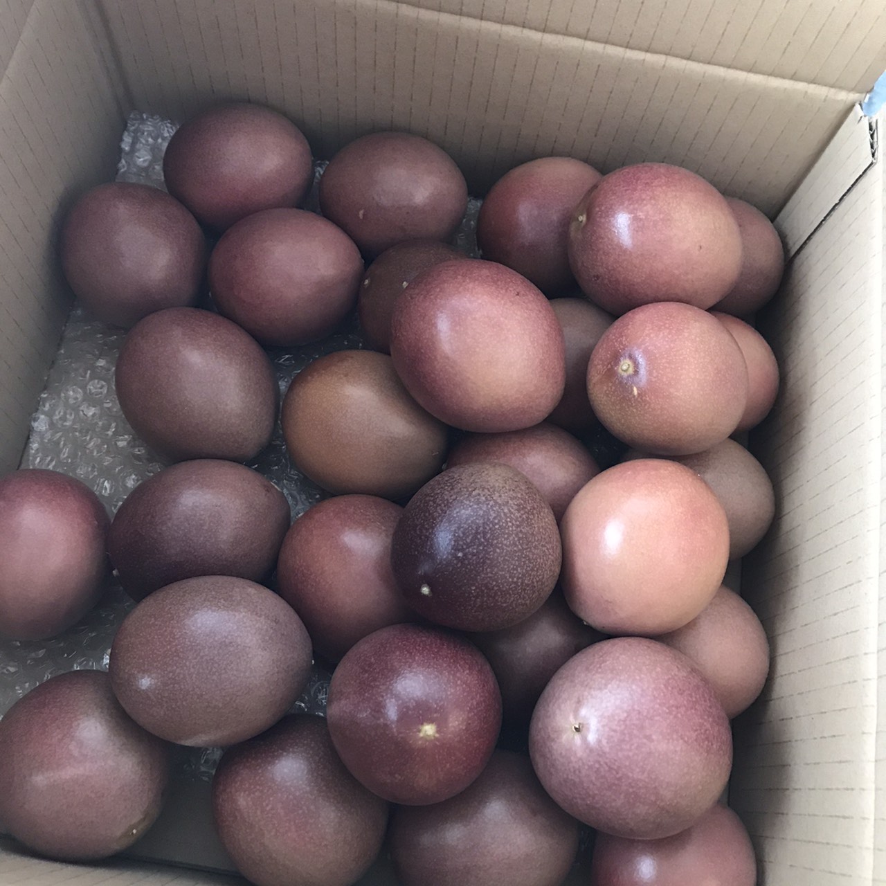  Okinawa prefecture production passionfruit 2kg:16~24 sphere home use 