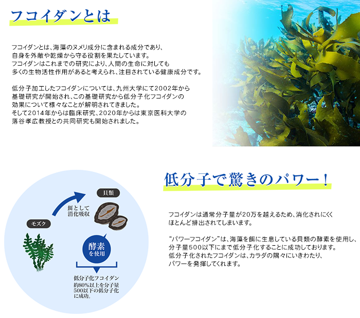  power fucoidan CG( jelly ) trial pack [ set contents ] power fucoidan CG 50g×2.+ com net original materials Kyushu university research. low minute .. fucoidan jelly 
