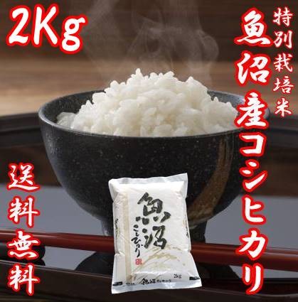 新潟県魚沼産 コシヒカリ 【白米】 2kg×1袋 うるち米、玄米の商品画像