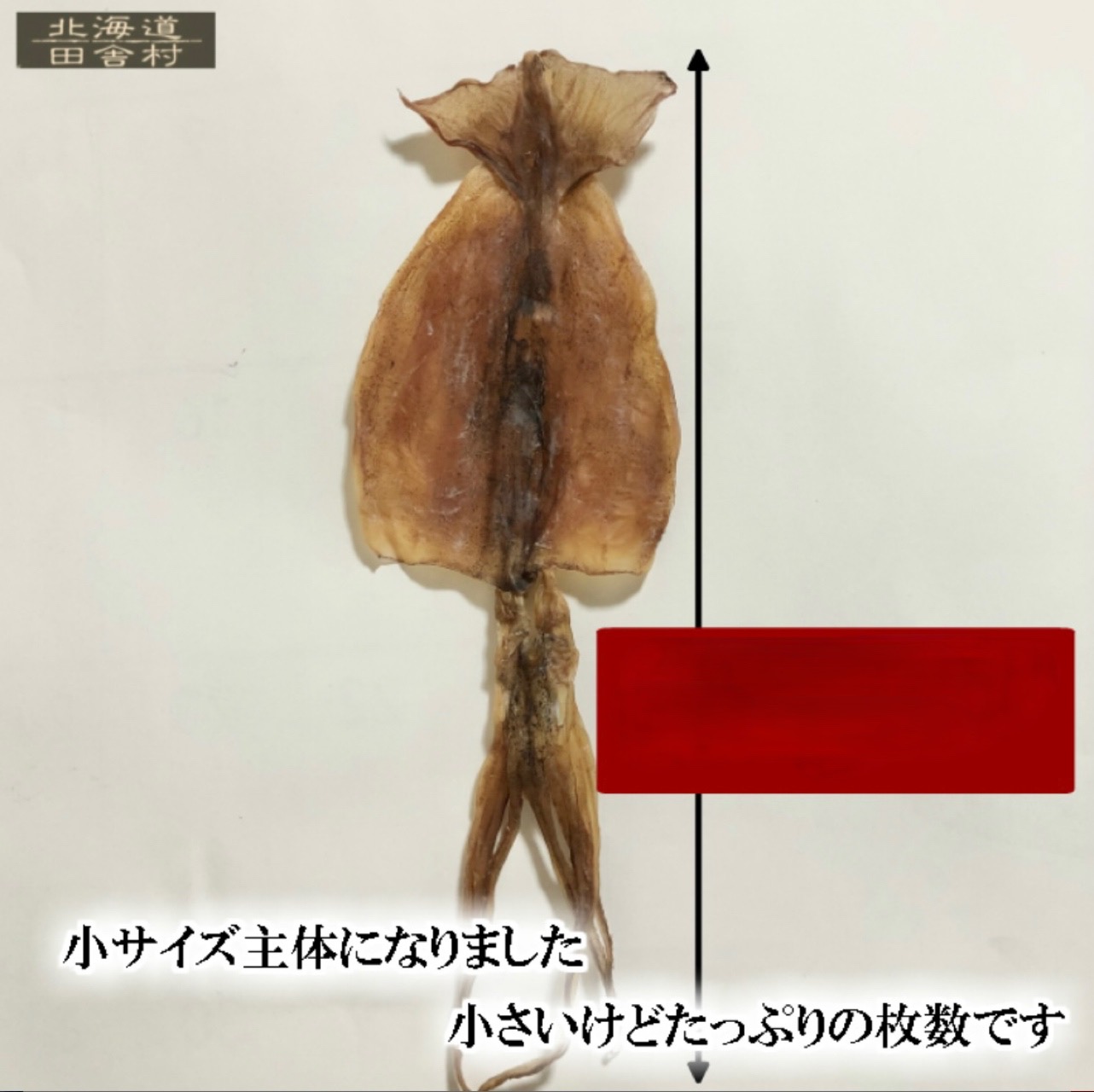  Hokkaido name production Hakodate processing dried squid 130g domestic production moreover, Spain production [ free shipping ].. delicacy small size snack 