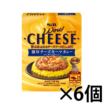 エスビー食品 エスビー食品 WOW！CHEEZE 濃厚チーズキーマカレー 中辛 150g×6個 カレー、レトルトカレーの商品画像