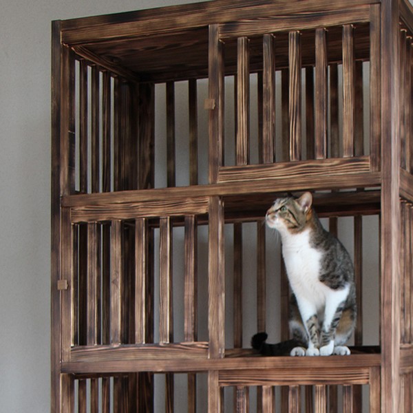  cat san. purity cage (. Japanese cedar type )4 step 