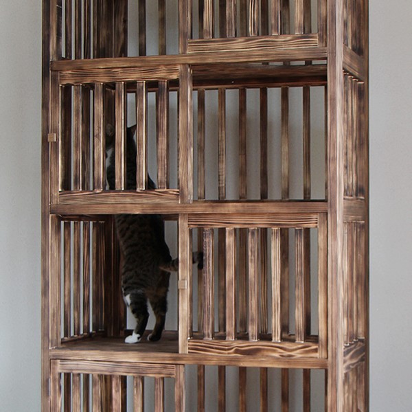  cat san. purity cage (. Japanese cedar type )4 step 