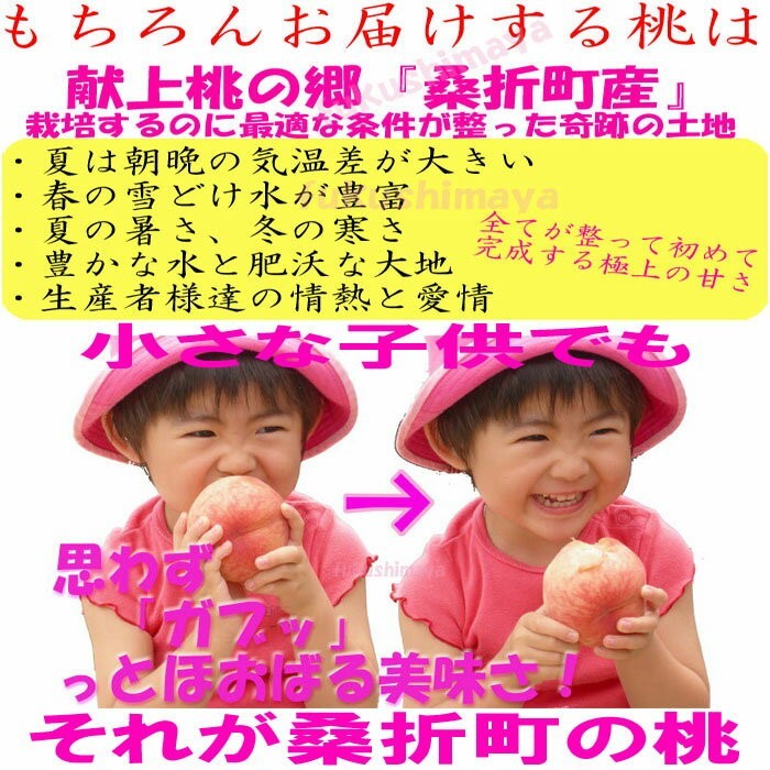  peach Fukushima prefecture . on peach. . mulberry . block production Special preeminence goods peach 2.7kg box (7~15 sphere ) home use small sphere 7 month on . on and after -9 month middle . about till shipping . comb . Pride. bodily sensation campaign ( fruit / vegetable )