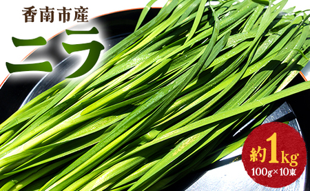 fu.... tax production amount Japan one . south city. garlic chive 1kg - garlic chive . south city production .. morning .. direct delivery from producing area potherb garlic chive on-0010 Kochi prefecture . south city 