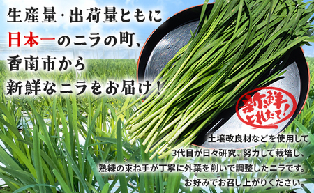 fu.... tax production amount Japan one . south city. garlic chive 1kg - garlic chive . south city production .. morning .. direct delivery from producing area potherb garlic chive on-0010 Kochi prefecture . south city 