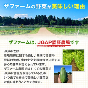 fu.... tax [ shipping month fixation fixed period flight ]THE FARM. four season . taste ... vegetable! fresh vegetable. fixed period flight all 4 times [ delivery un- possible region : remote island * Okinawa prefecture ][4003961] Chiba prefecture . taking city 