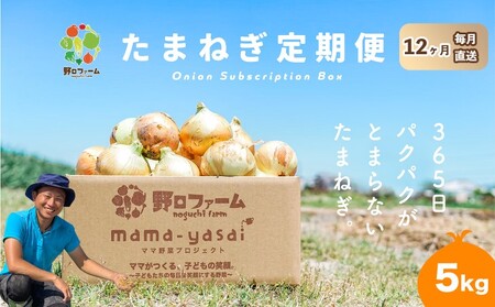fu.... налог [12 раз установленный срок рейс ]mama-yasai лук репчатый 5kg Hyogo префектура юг ... город 