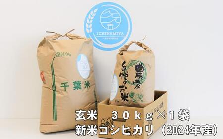 【ふるさと納税】 コシヒカリ 有洗米 玄米 30kg うるち米、玄米の商品画像