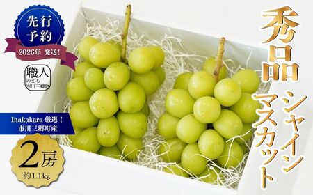 【ふるさと納税】シャインマスカット 2房 約1kg フルーツ ブドウの商品画像