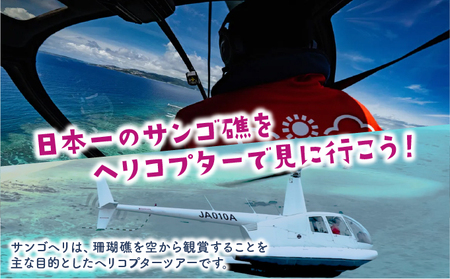 fu.... налог путешествие Okinawa .... пустой из .. вертолет . просмотр иллюзия. остров план коралл износ туристический купон билет на проезд Tour билет Okinawa префектура бамбук . блок 