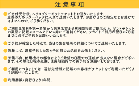 fu.... налог путешествие Okinawa .... пустой из .. вертолет . просмотр иллюзия. остров план коралл износ туристический купон билет на проезд Tour билет Okinawa префектура бамбук . блок 