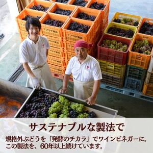 fu.... tax . vinegar. image . change! drink vinegar grape 6 pcs set (.. type drinking vinegar / Yamanashi production vinegar use )[1488394] Yamanashi prefecture Yamanashi city 