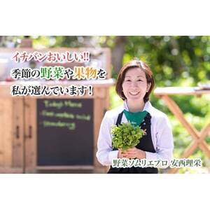 fu.... tax vegetable sommelier Pro carefuly selected! prejudice. . vegetable BOX[li shrimp n] season. vegetable set [ delivery un- possible region : remote island * Okinawa prefecture ][1488314] Chiba prefecture pavilion mountain city 