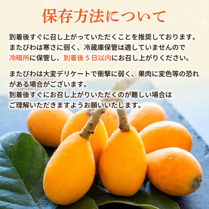 fu.... tax loquat 6~8 piece × 8 pack Kochi production . fruits fruit recommendation gift .. limited time Kochi prefecture . cape city sea . mountain . immediately close cheap peace district.. Kochi prefecture . cape city 